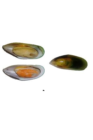 Mussels Green 1/2 shell M/青口